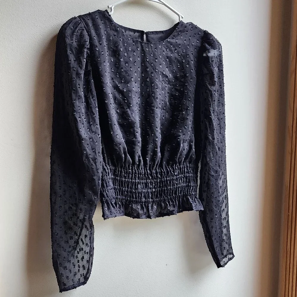 Express Sheer Black Cropped Blouse Size XS